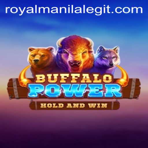 Unleashing Adventure in BuffaloPower: The ROYALMANILA Journey